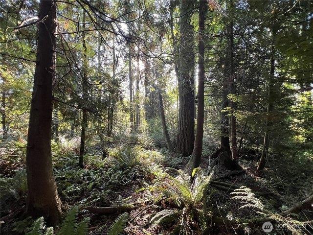 Land for sale in Castle Rock, Washington