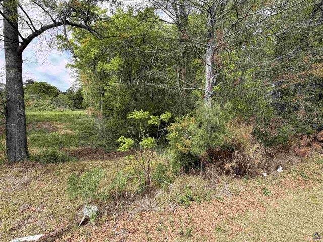 Land for sale in Bonaire, Georgia