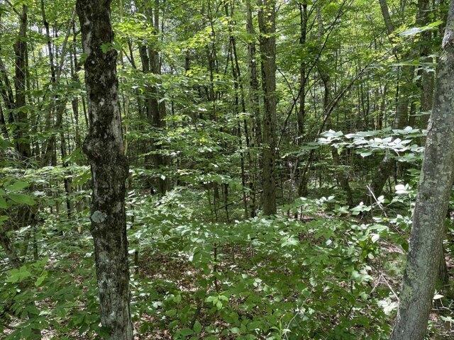 Land for sale in New Hampshire
