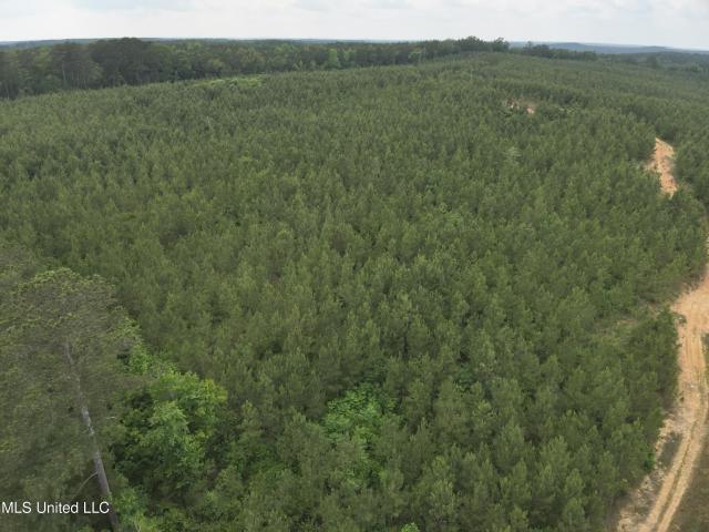 Land for sale in Kosciusko, Mississippi