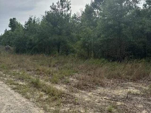 Land for sale in Ellerbe, North Carolina