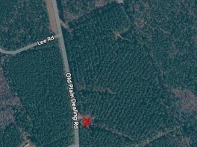 Land for sale in Plain Dealing, Louisiana