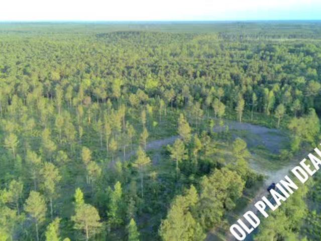 Land for sale in Plain Dealing, Louisiana