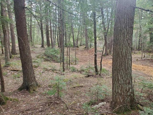 Land for sale in Au Train, Michigan