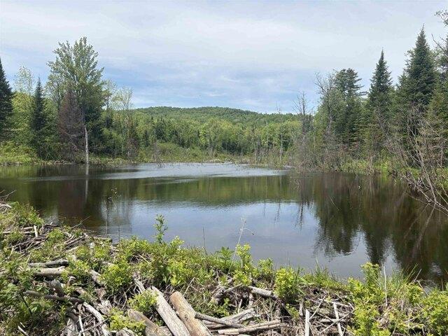 Land for sale in Gilman, Vermont