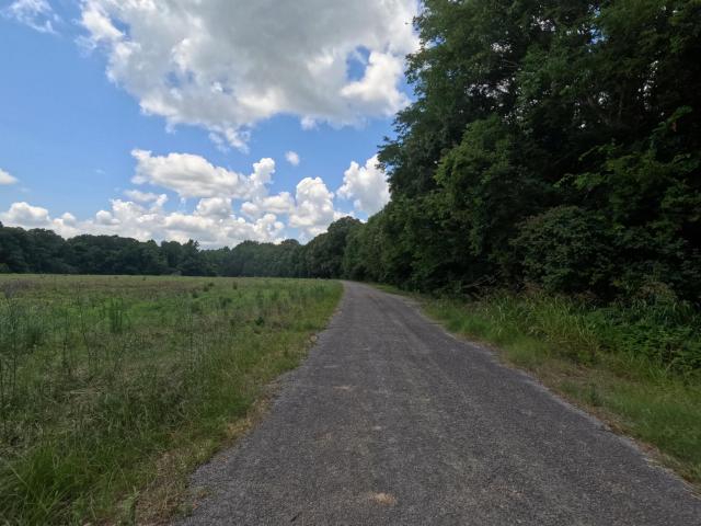 Land for sale in Utica, Mississippi