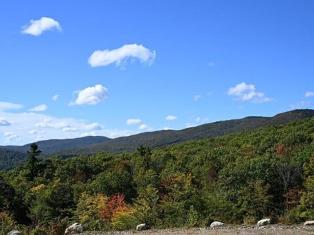 Land for sale in Newbury, Merrimack County