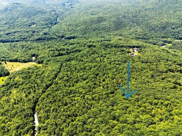 Land for sale in Newbury, Merrimack County