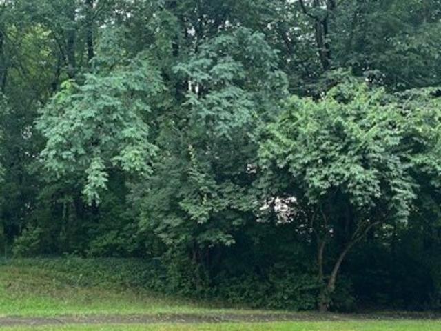 Land for sale in Brecksville Land for sale in Brecksville