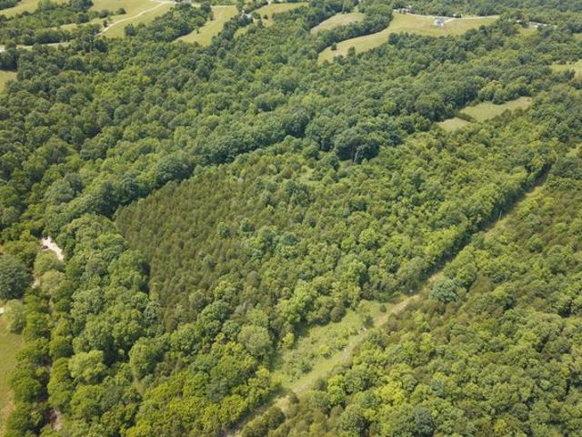 Land for sale in Kentucky
