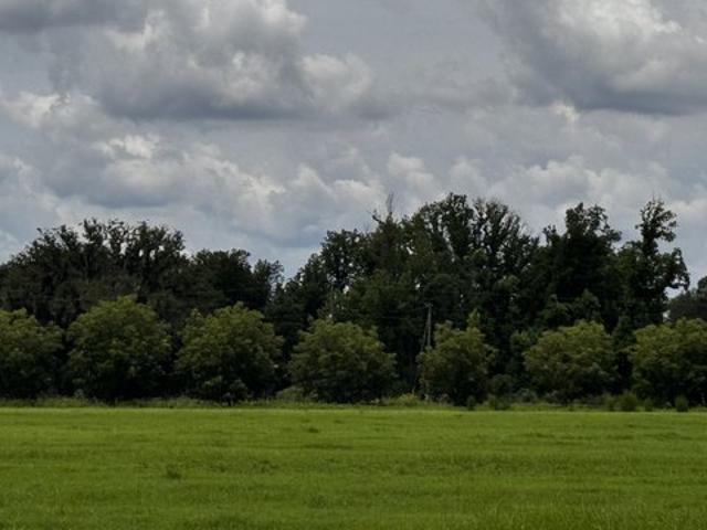 Land for sale in Collins, Georgia