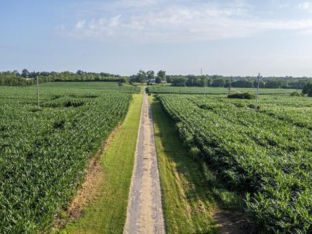 Land for sale in Lexington