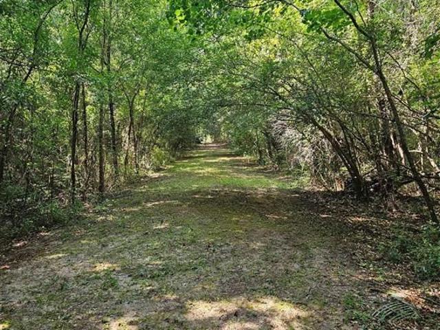 Property for sale in Starks, Louisiana