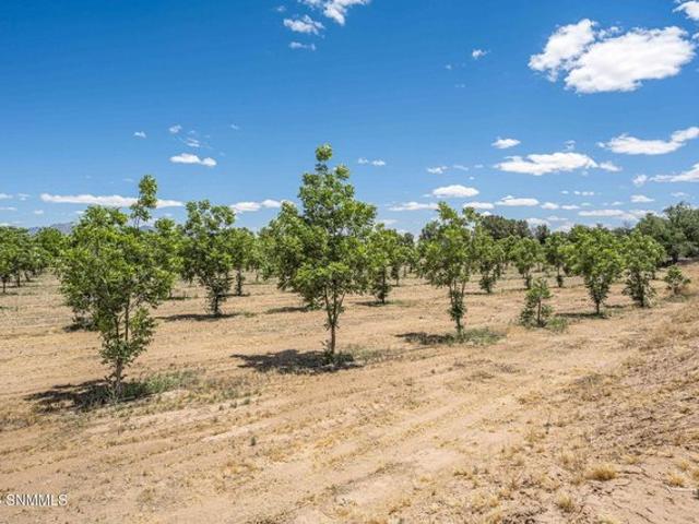 Farm for sale in Dona Ana, New Mexico
