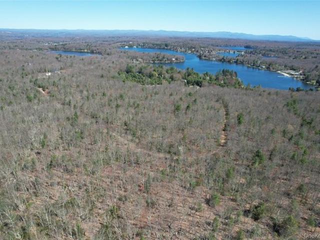 Land for sale in Rock Hill, New York