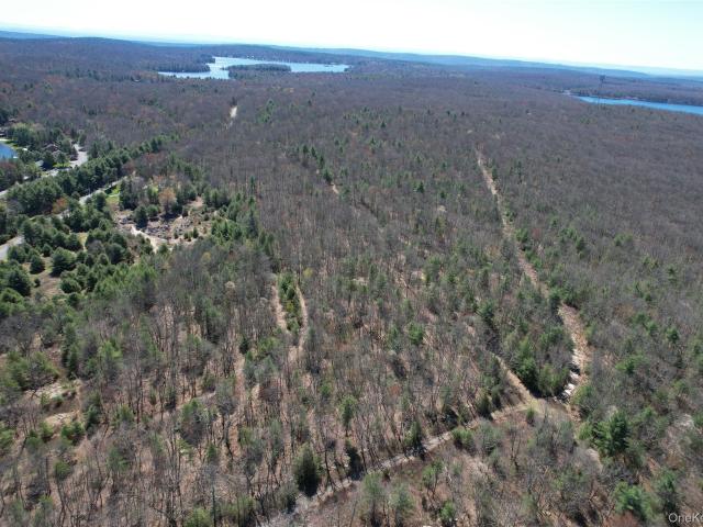 Land for sale in Rock Hill, New York