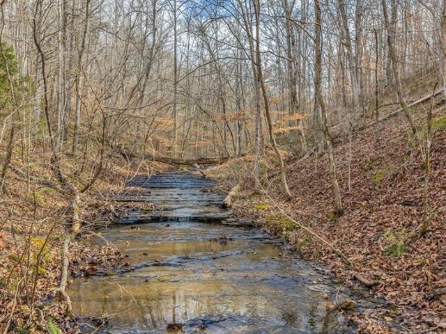 Land for sale in Tennessee