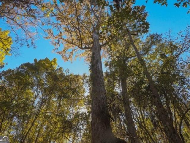 Land for sale in Millen, Georgia