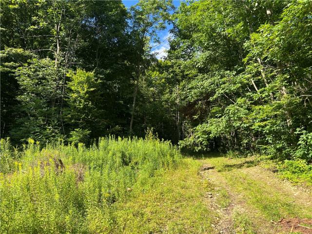Land for sale in Brooktondale, New York