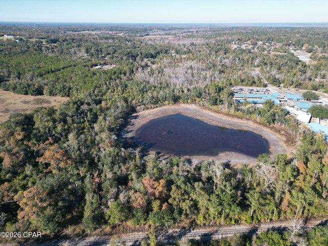 Land for sale in Sneads, Florida