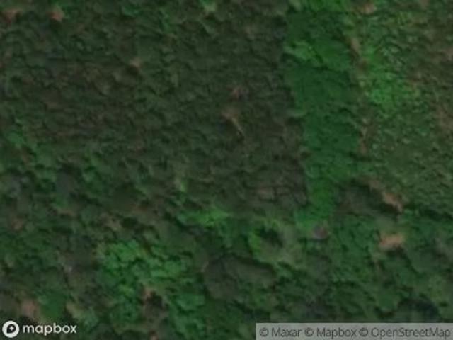 Land for sale in Saint George, South Carolina