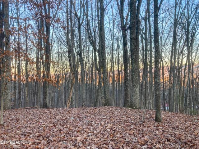 Land for sale in Tennessee