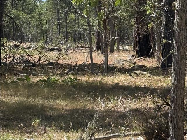 Land for sale in Goldendale, Klickitat County