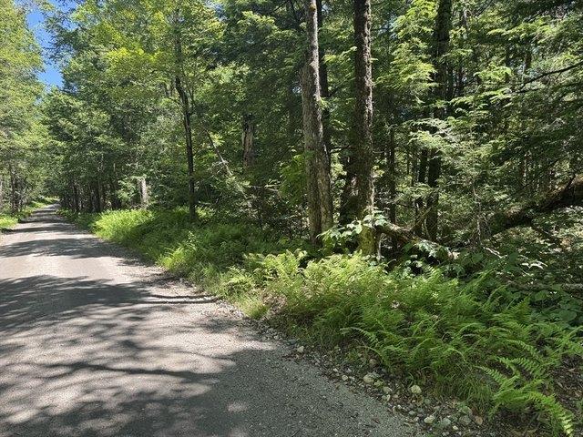 Land for sale in Ashfield, Massachusetts