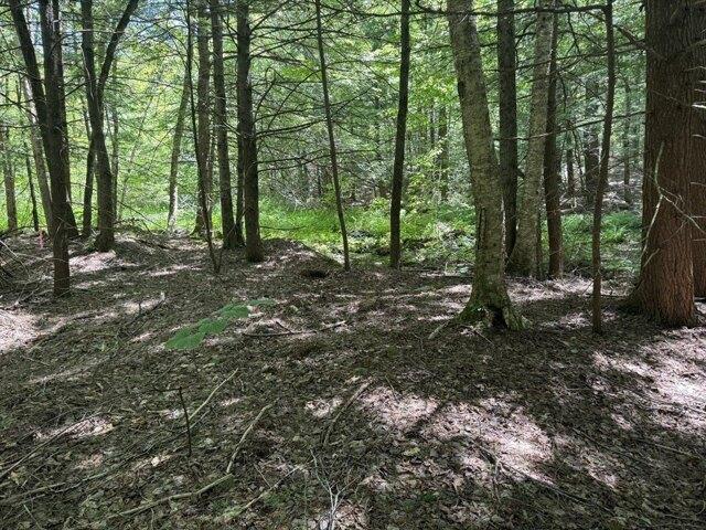 Land for sale in Ashfield, Massachusetts