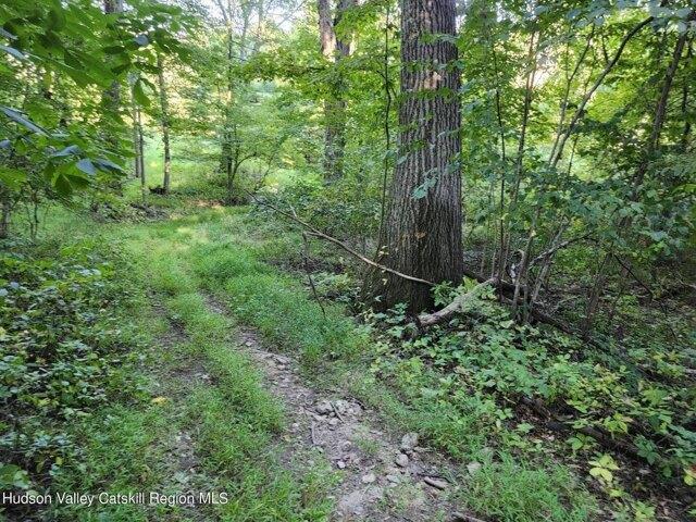 Land for sale in Saugerties