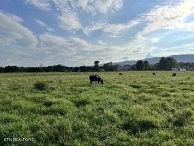 Farm for sale in Pikeville, East Tennessee