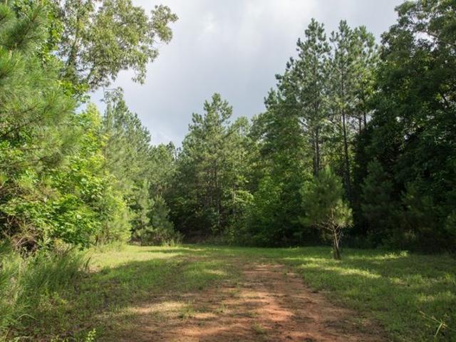 Land for sale in Tennessee