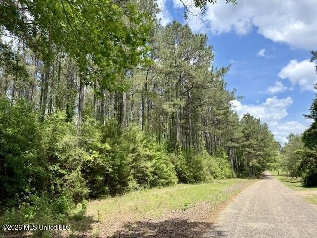 Land for sale in Tylertown, Mississippi