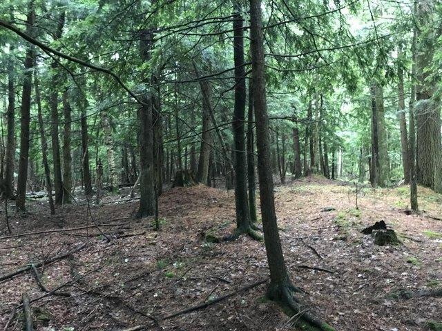 Land for sale in Johannesburg, Michigan