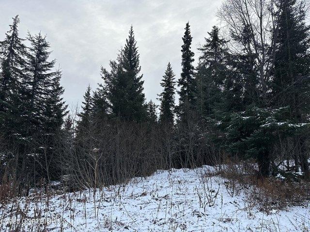 Land for sale in Anchor Point