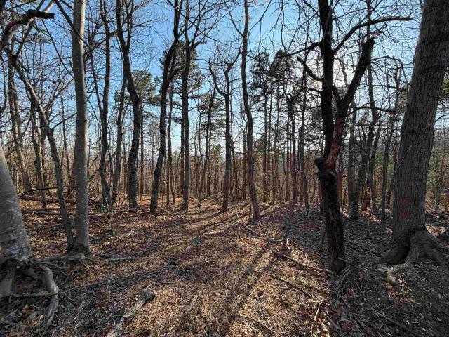 Land for sale in Virginia