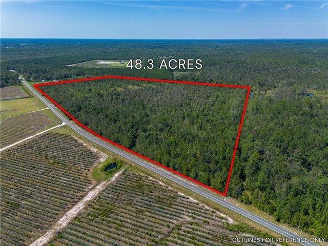 Land for sale in Baxley, Georgia