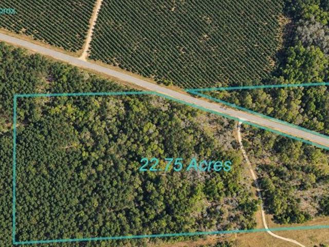 Land for sale in Surrency, Appling County