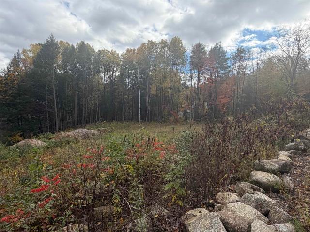 Land for sale in Winchester, Cheshire County