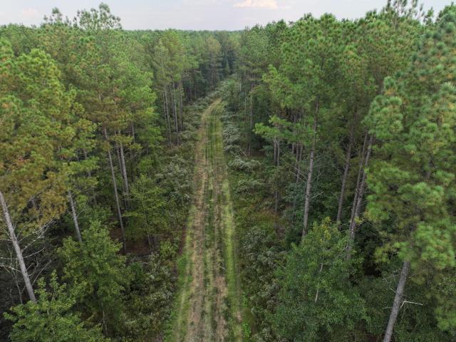 Land for sale in West Point, Mississippi