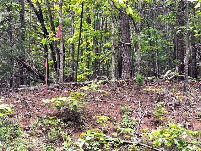 Land for sale in Virginia