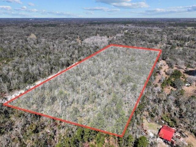 Land for sale in Old Town, Florida