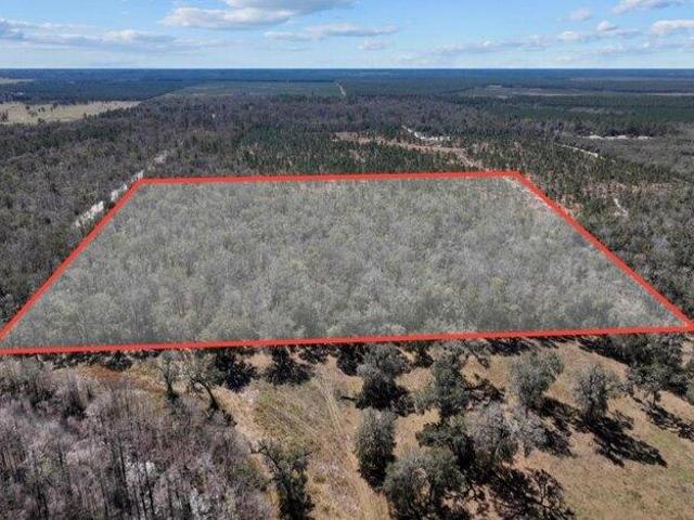 Land for sale in Old Town, Florida