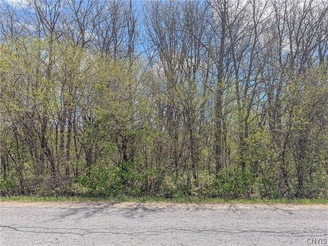 Land for sale in Chaumont, New York