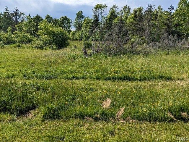 Land for sale in Chaumont, New York