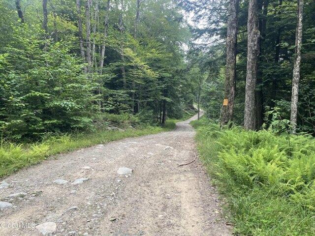 Land for sale in Stephentown, New York