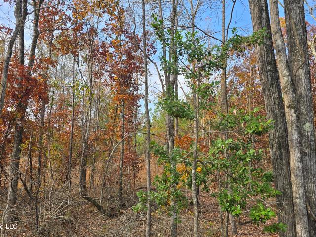 Land for sale in Mississippi