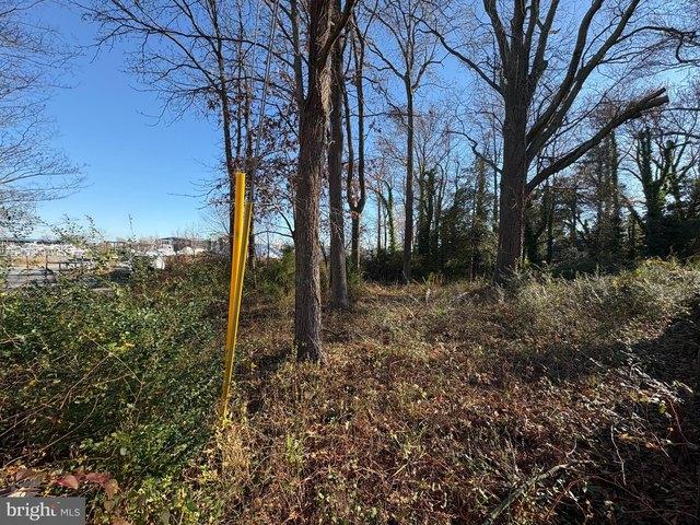 Land for sale in Davidsonville, Maryland
