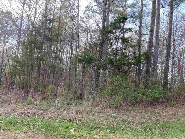 Land for sale in Adamsville, West Tennessee