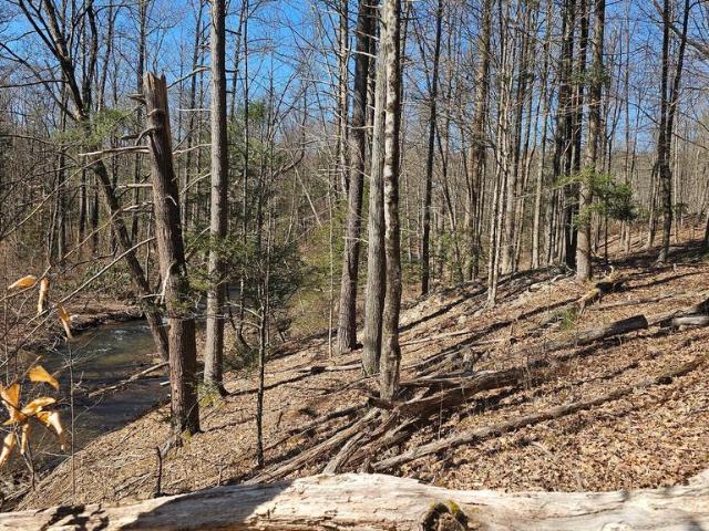 Land for sale in Milroy